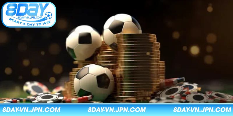 Các giải đấu được chào đón nhất của sảnh