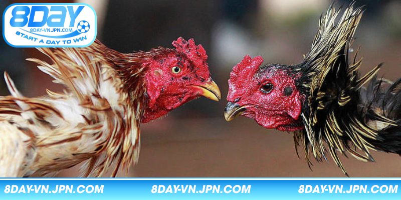 Tổng hợp các tính năng tiện ích hỗ trợ